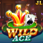 Wild Ace bonus game
